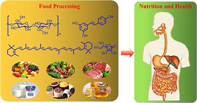 Editorial: The effects of food processing on food components and their health functions, Volume II